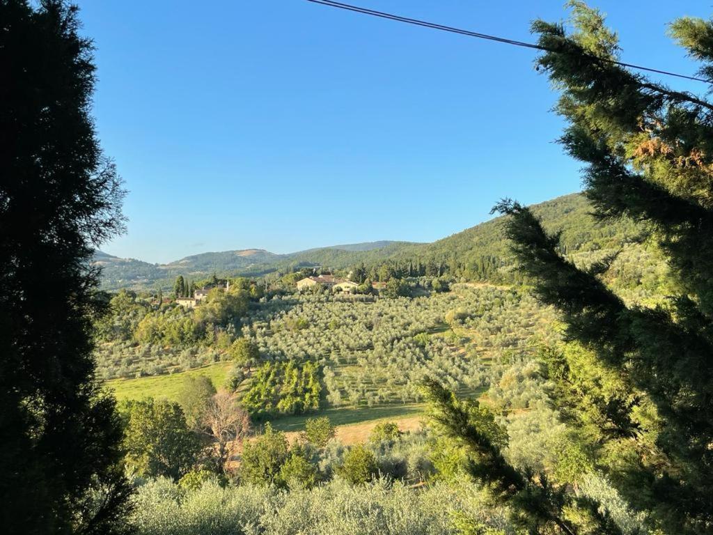 Fattoria Poggio Di Fiesole Villa Bagian luar foto