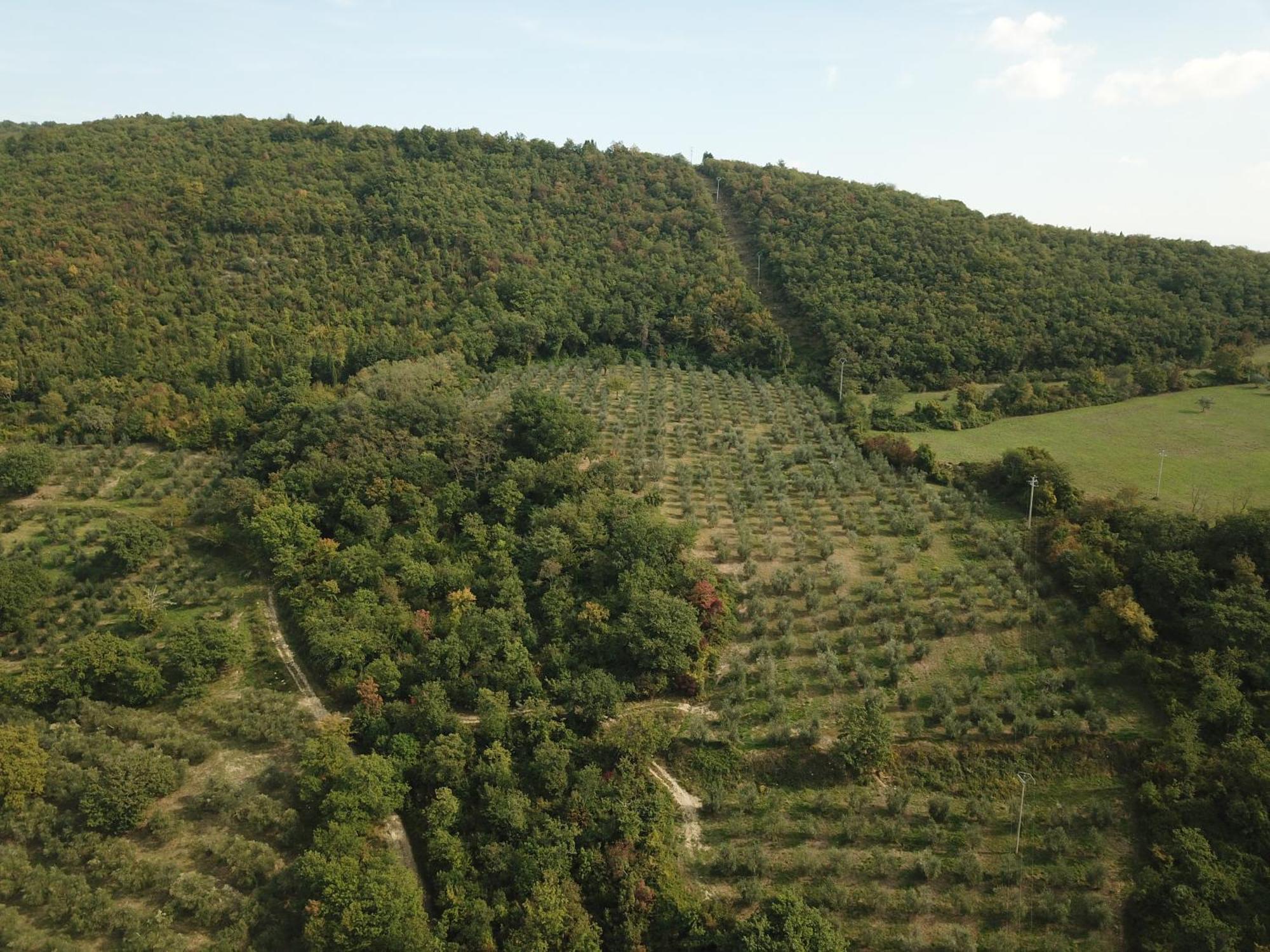 Fattoria Poggio Di Fiesole Villa Bagian luar foto